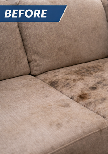 upholstery before professional cleaning