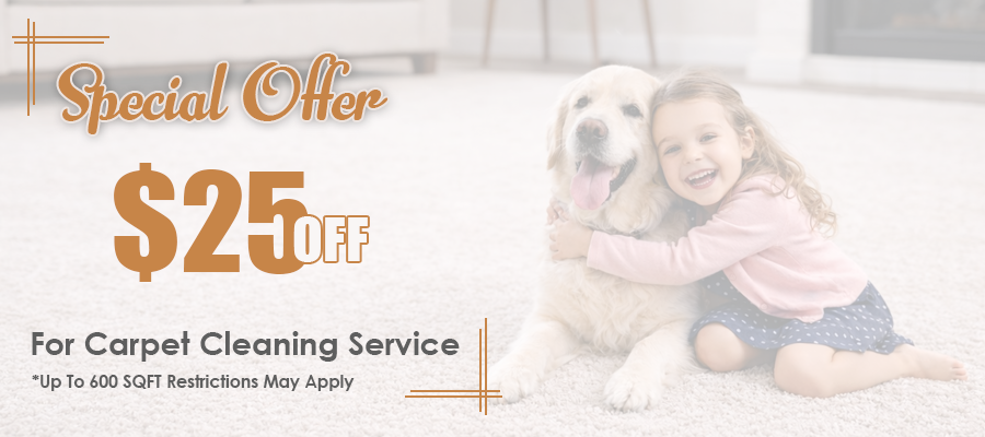 carpet cleaning coupon offer banner