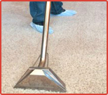 Carpet Steam Cleaning Services